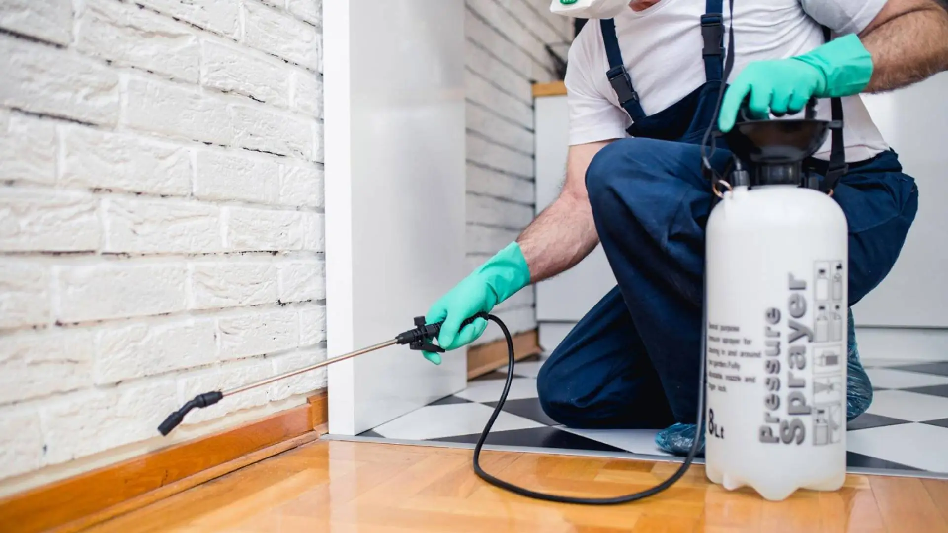 AHS Schädlingsbekämpfung – Professioneller Kammerjäger