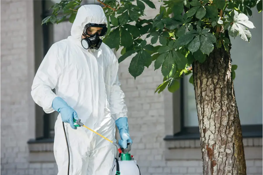 Kammerjäger bekämpft Schaben in einer Wohnung – diskrete Behandlung mit Sprühgerät